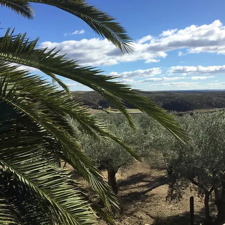 Hostel Canaveral Cañaveral