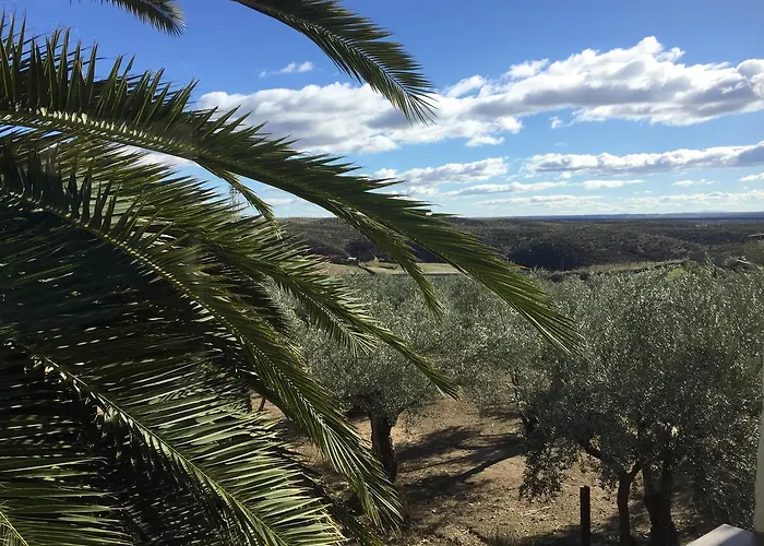 Hostel Canaveral Cañaveral